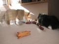 Ruby & Millie
