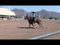 NY Reining