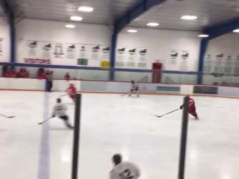 2019-2020 Hockey Highlights