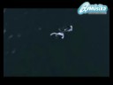 Qmusika. Susana F�lix - Flutuo