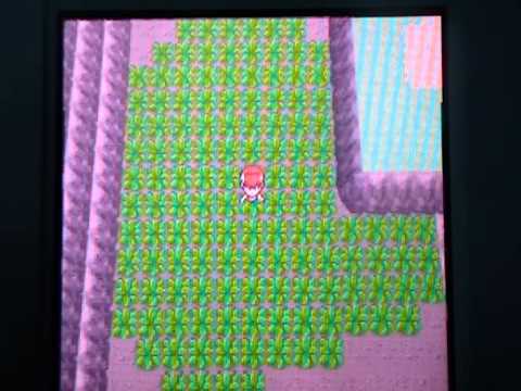 how to get pp up in pokemon diamond