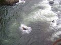 ADRENALINAAA
