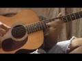 Raji and Roger - guitar oud duet