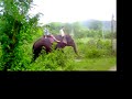 Top Jimmy Ridin\