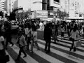 コウノスケ　陸