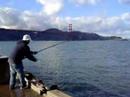 Crabbing in San Francisco
