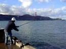 Crabbing in San Francisco