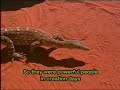 Australia\ Australia\