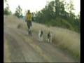 videos de scooterjor08.MPG