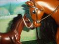 De Avonturen van Black Beauty, deel 3