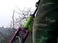 hh