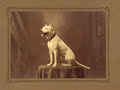 the original apbt