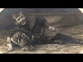The Original APBT