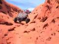 Rhino Rollover