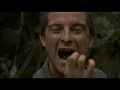 Edward Grylls \"BEAR\"