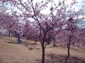 ���ź���2010.3.3.wmv:YouTube������=10��