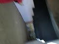 Donal Mooney shooting handgun