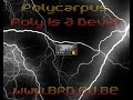 clip polycarpus - poly is a devil!