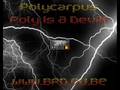 Polycarpus   Poly Is A Devil!