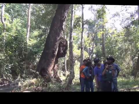 Nagzhari falls(Dandeli) trekking by ISI students