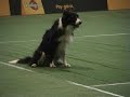 Obediencia: Campeonato del mundo 2006, Selsaas.Kuellaug 2