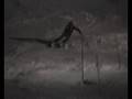 videos de Viktor Edeblon SL 2 2008-11-15