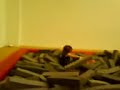 Teez 1st gymnastics practice