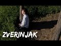 Zverinjak / 2012