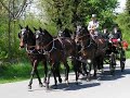 Kutschfahrt Kutschfahrt