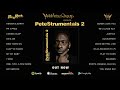Pete Rock - Petestrumentals 2 (Official Album Stream) ピート・ロック
