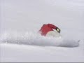 extremecarving stoked