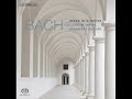 J.S Bach : Mass in B minor, Agnus Dei (Alto) J.S Bach : Mass in B minor, Agnus Dei (Alto)