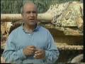videos de Golan Heights Yom Kippur War 1973