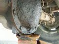 Icon for Post #1998 k1500 chev ball joint check