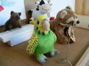 murmel und dil in quimper, in paule und auf der f�te de la carotte.