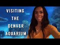 Hotels Near Denver Zoo And Aquarium