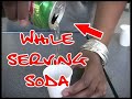 Mike Pina Presents - Guarana Soda Research