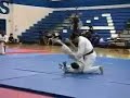 Nihon Goshin Aikido