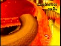 mario kart wii   may 18 08 b