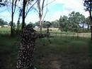 hoyt compound bow target practice 2nd go