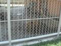 videos de M2U00069.MPG