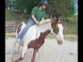 Bareback, Bridleless part 1 Bareback, Bridleless part 1