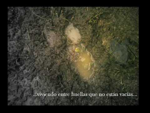 Imagen de previsualización de YouTube