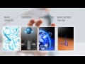 Belajar Bisnis Internet Marketing Online SEO