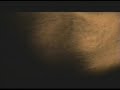 Rammstein - Links 2,3,4