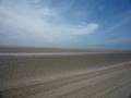 Vélo en Baie de Somme