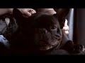 juan rivas   un mundo maravilloso  clip adelanto massiel 