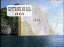 Prou Sal a \"Cuatro\" Prou Sal a \"Cuatro\"