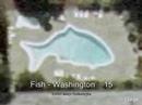 Splish Splash - Google Earth - details under (More info)
