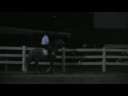 Shellie & Aragorn: Road Hack pt 2